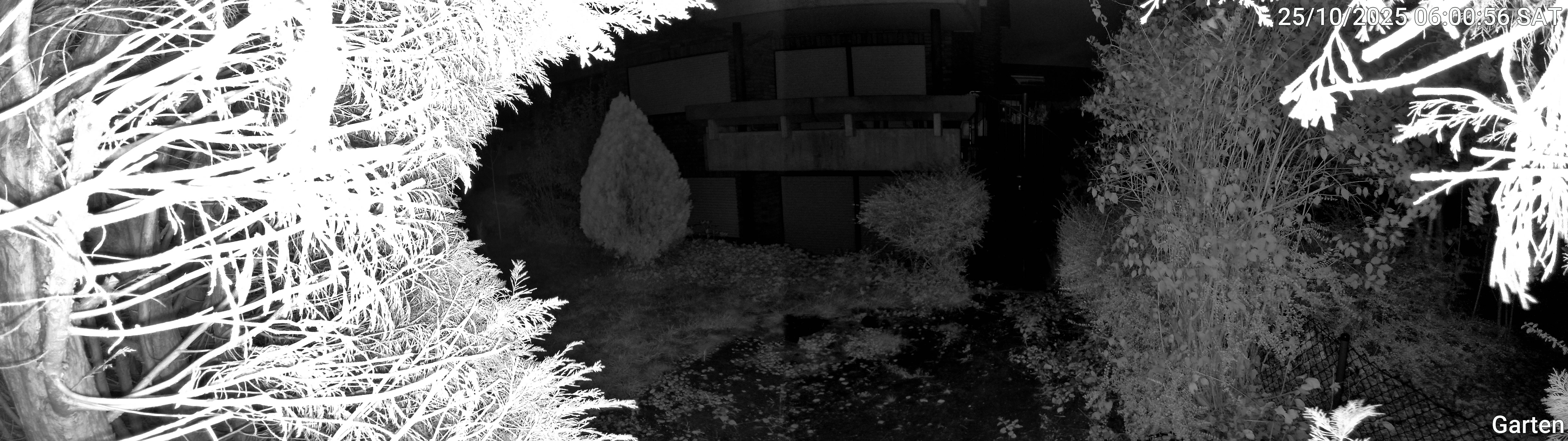 Garten_00_20251025060056.jpg