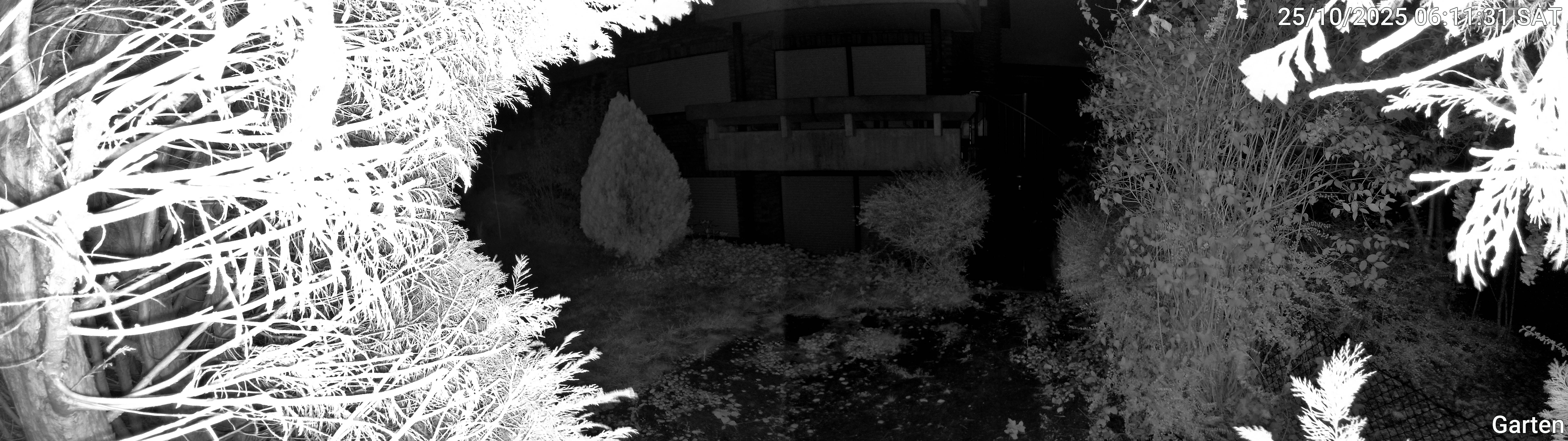 Garten_00_20251025061132.jpg