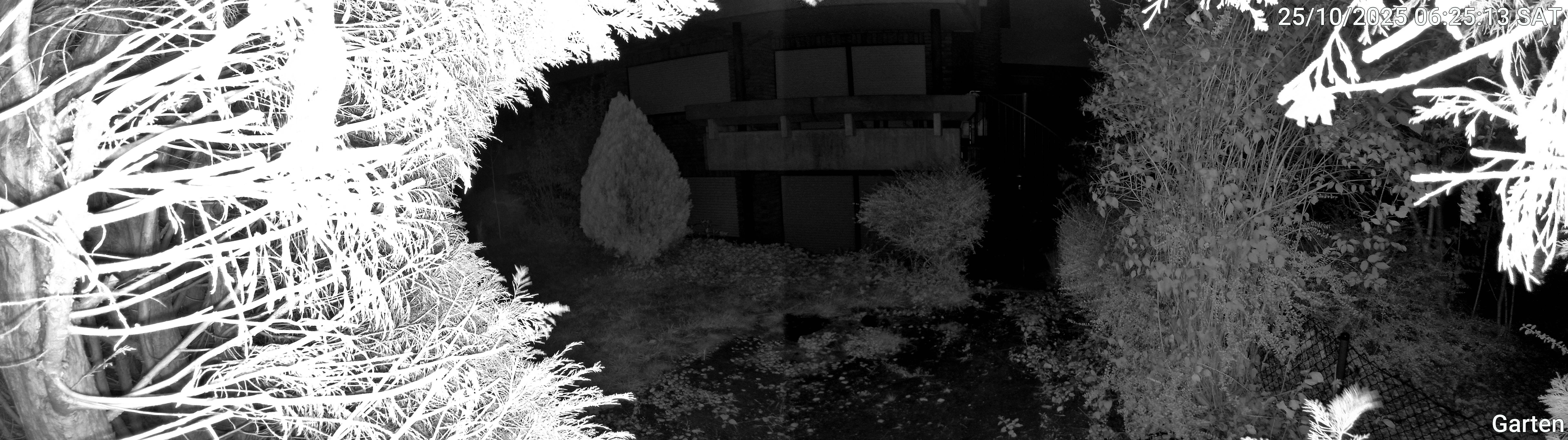 Garten_00_20251025062513.jpg