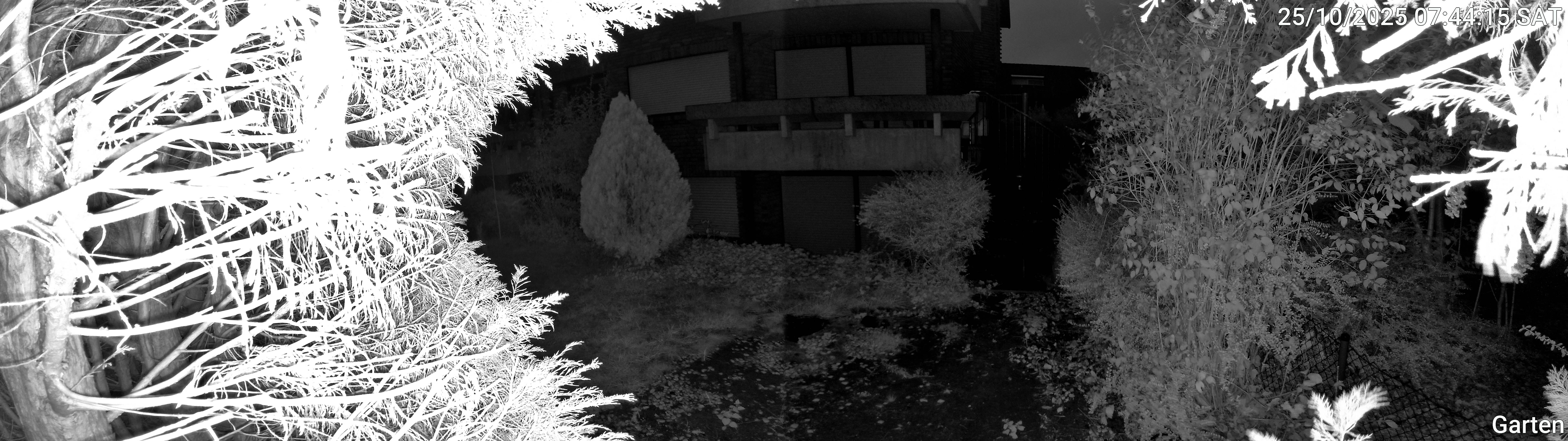 Garten_00_20251025074415.jpg