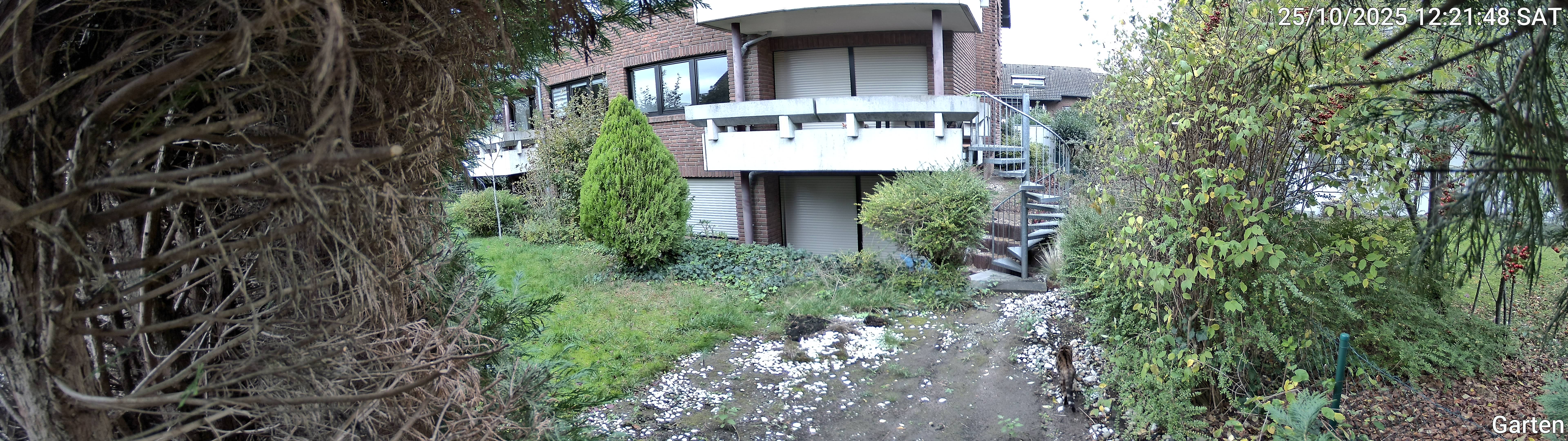 Garten_00_20251025122148.jpg