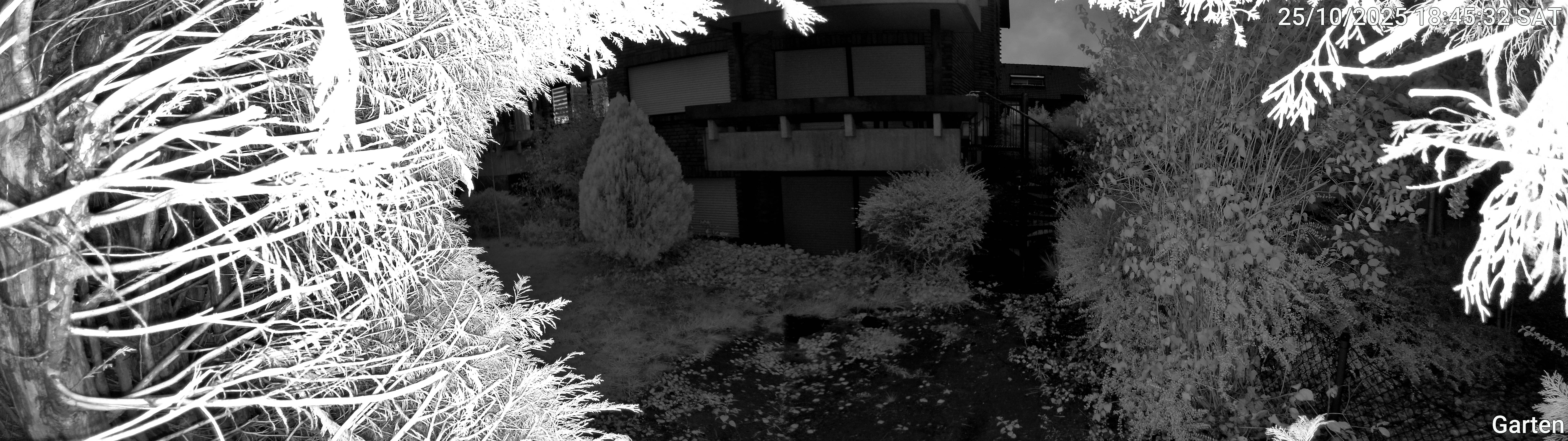 Garten_00_20251025184532.jpg