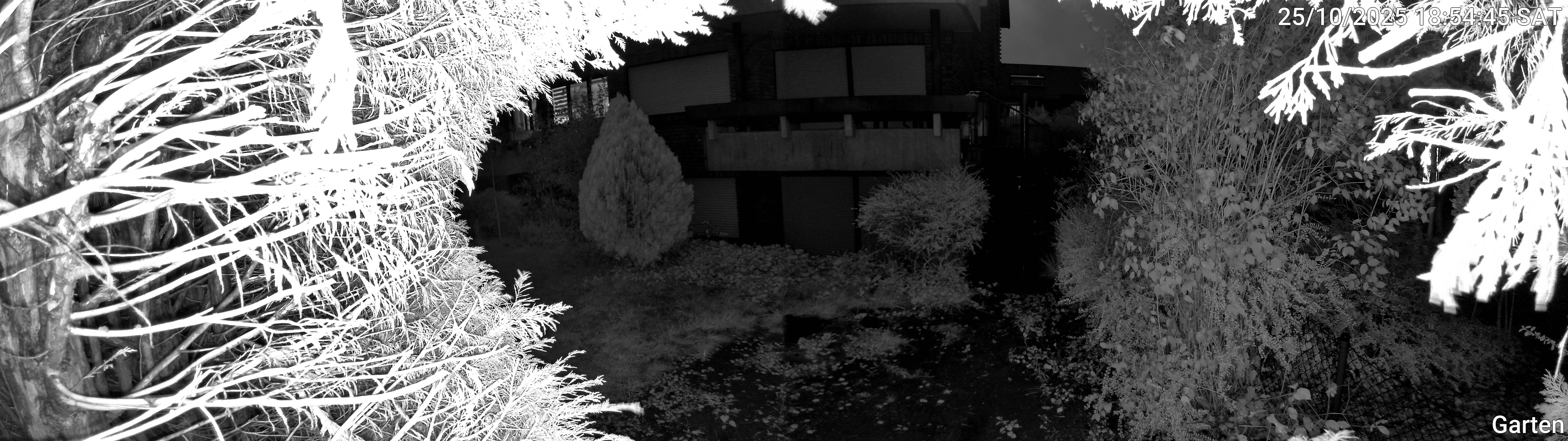 Garten_00_20251025185445.jpg