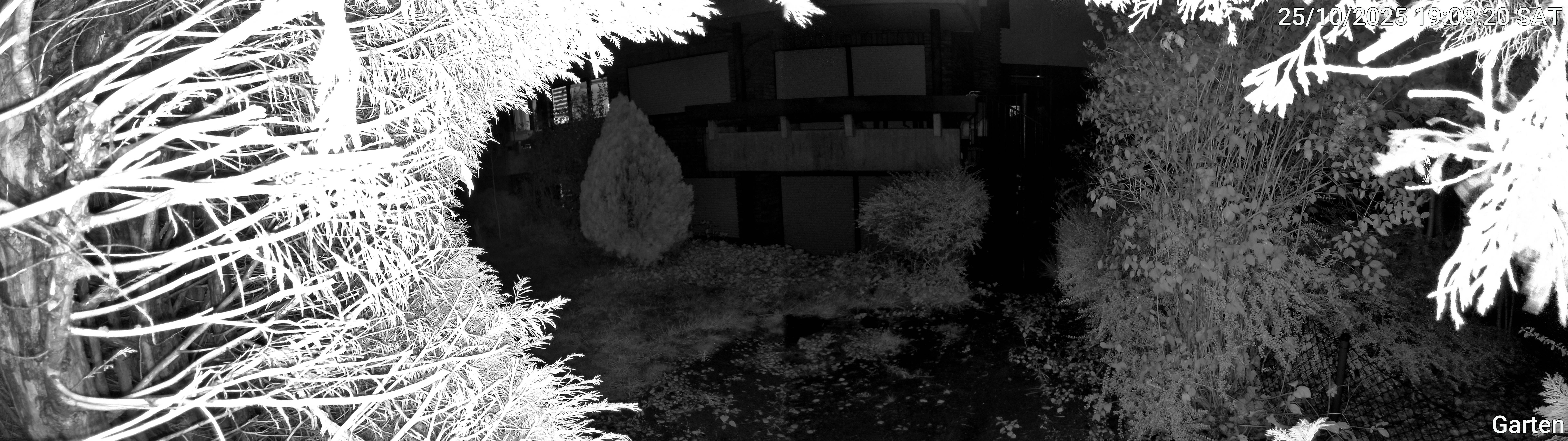 Garten_00_20251025190821.jpg