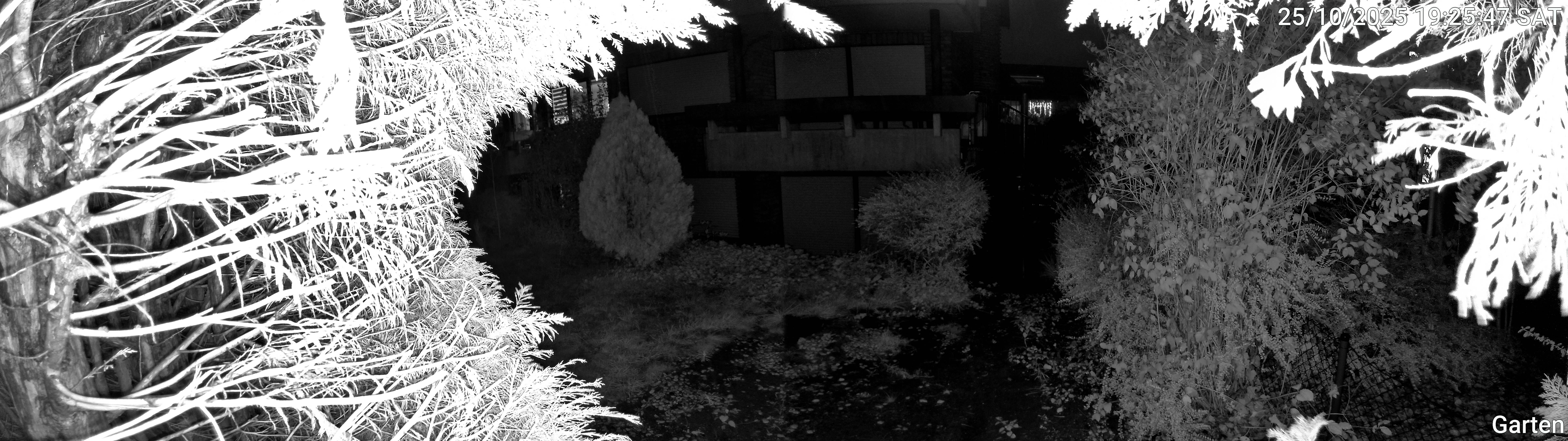 Garten_00_20251025192547.jpg