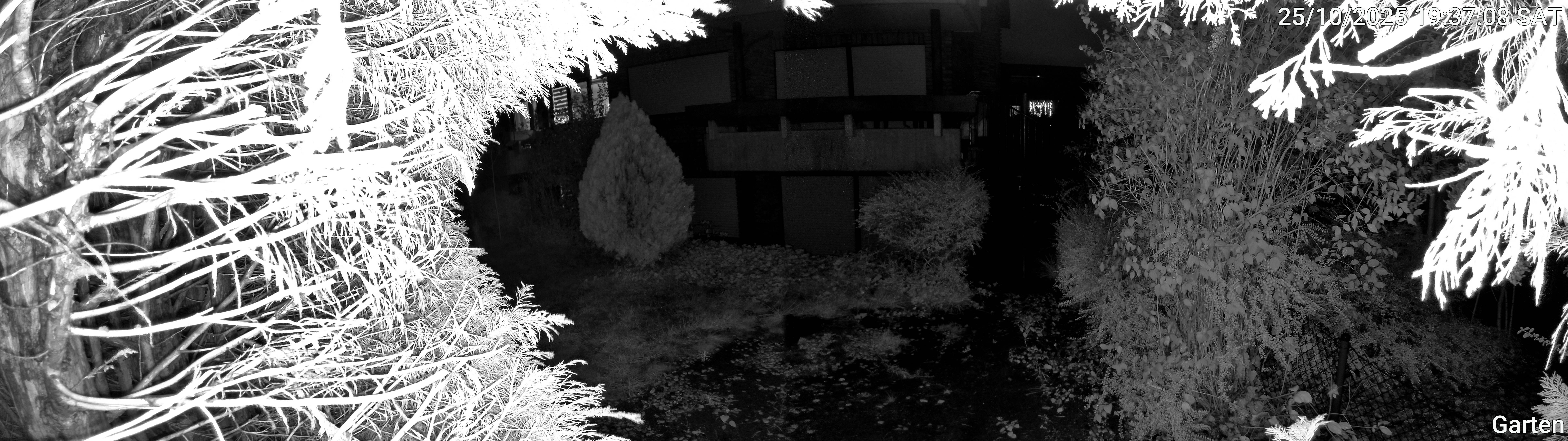 Garten_00_20251025193709.jpg