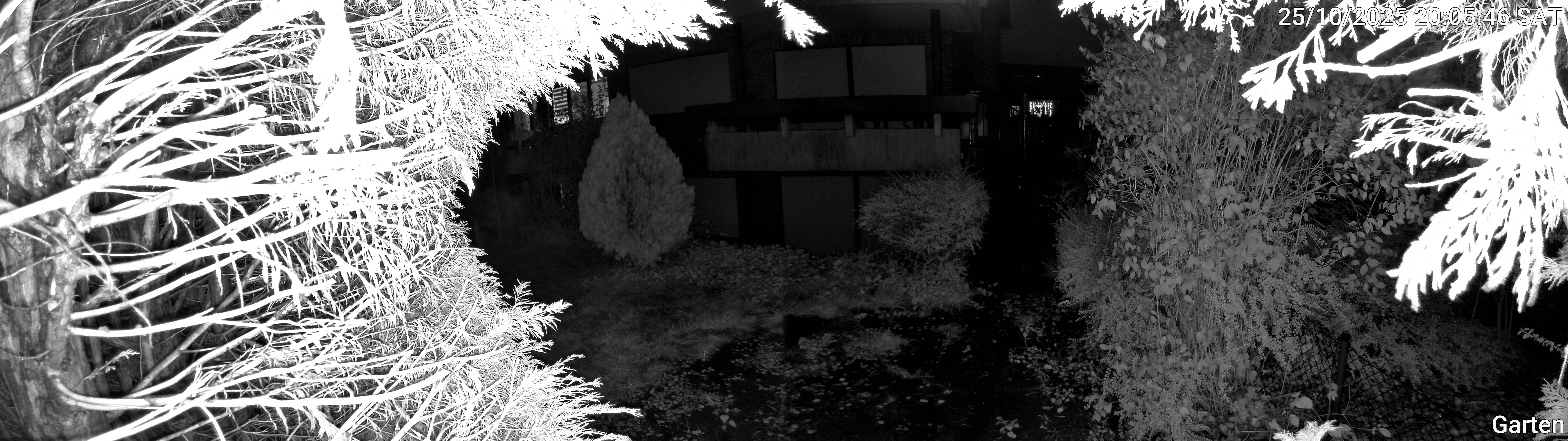 Garten_00_20251025200546.jpg