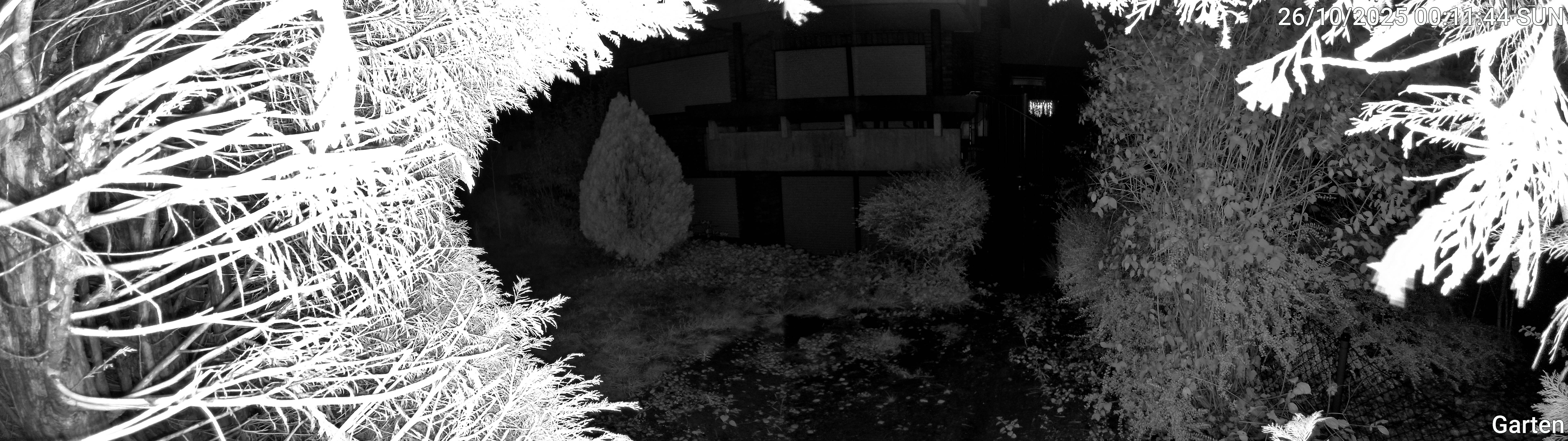 Garten_00_20251026001144.jpg