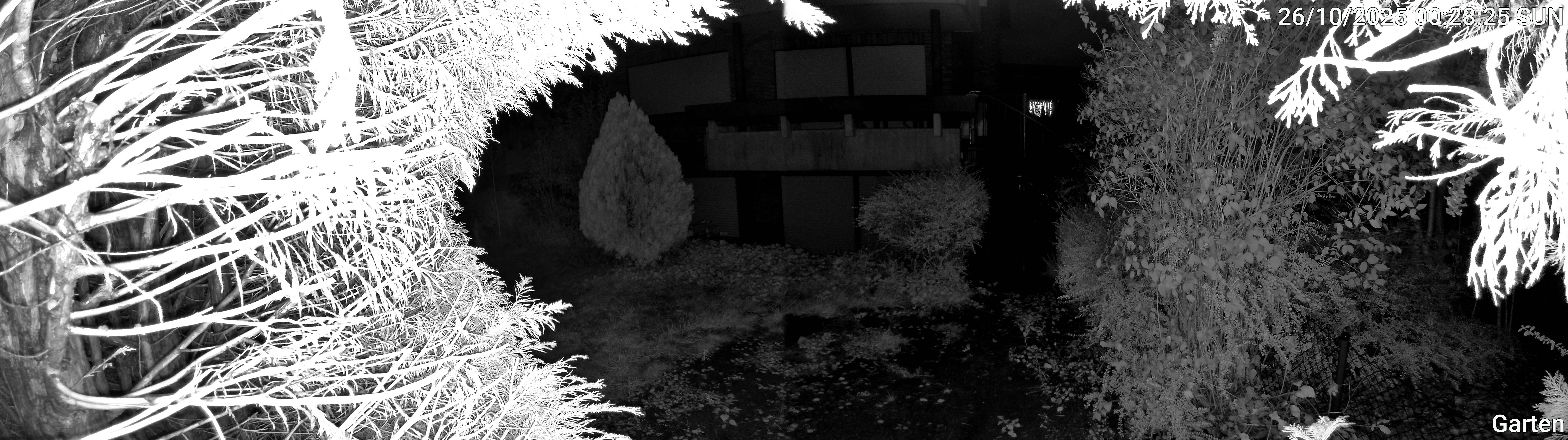 Garten_00_20251026002825.jpg