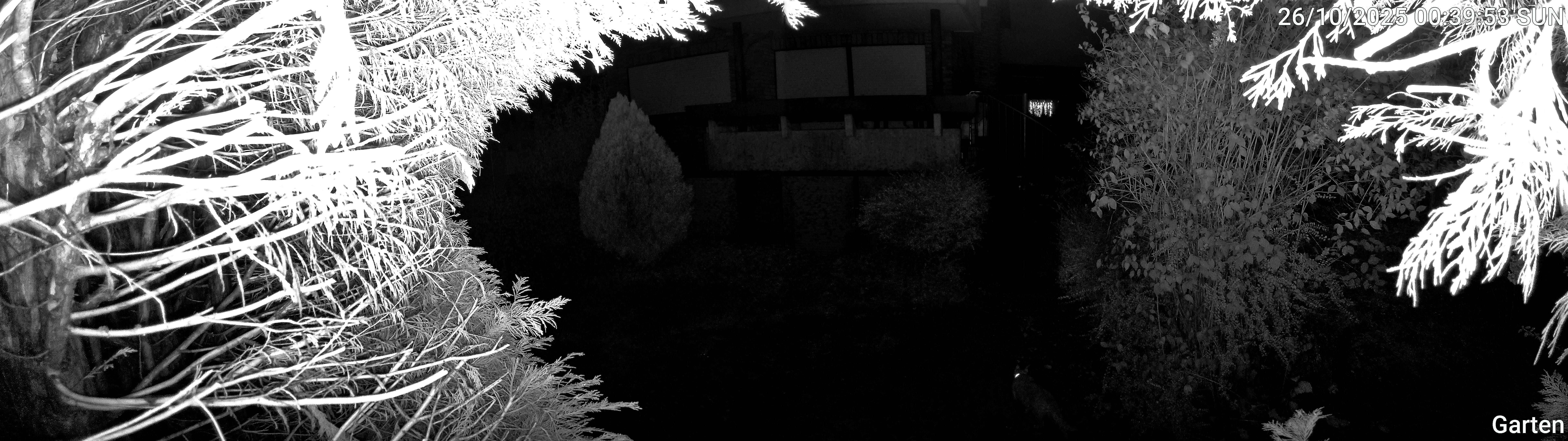 Garten_00_20251026003953.jpg