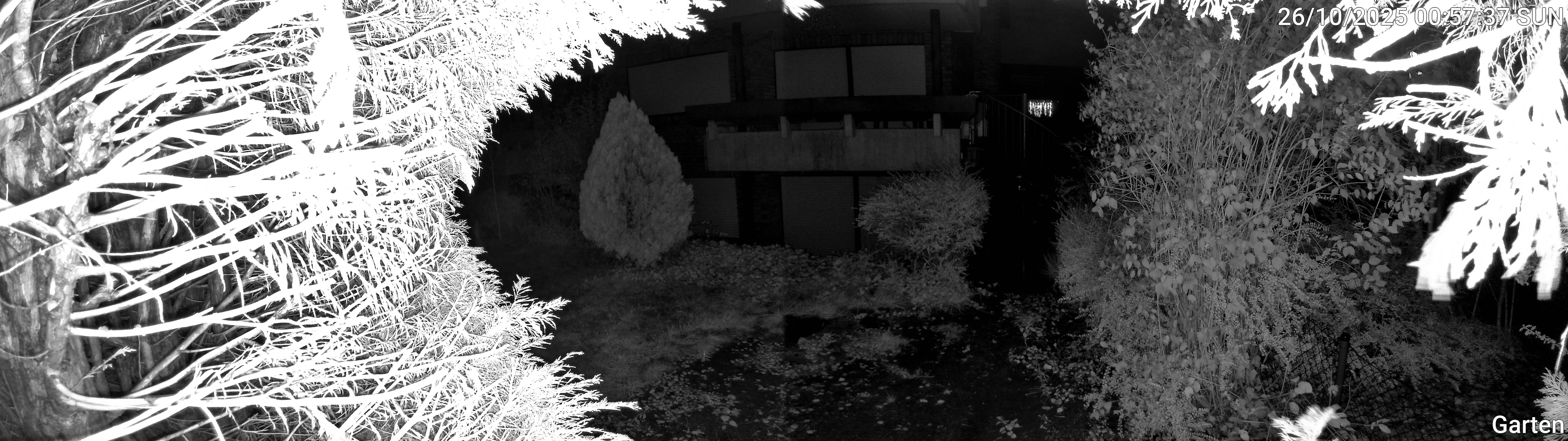 Garten_00_20251026005737.jpg