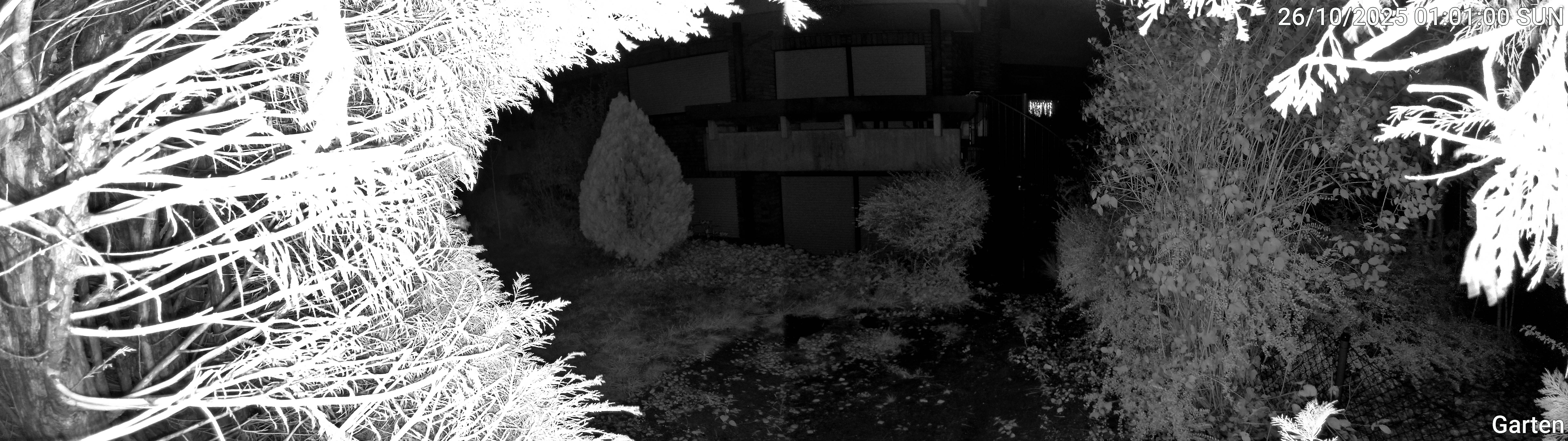 Garten_00_20251026010100.jpg