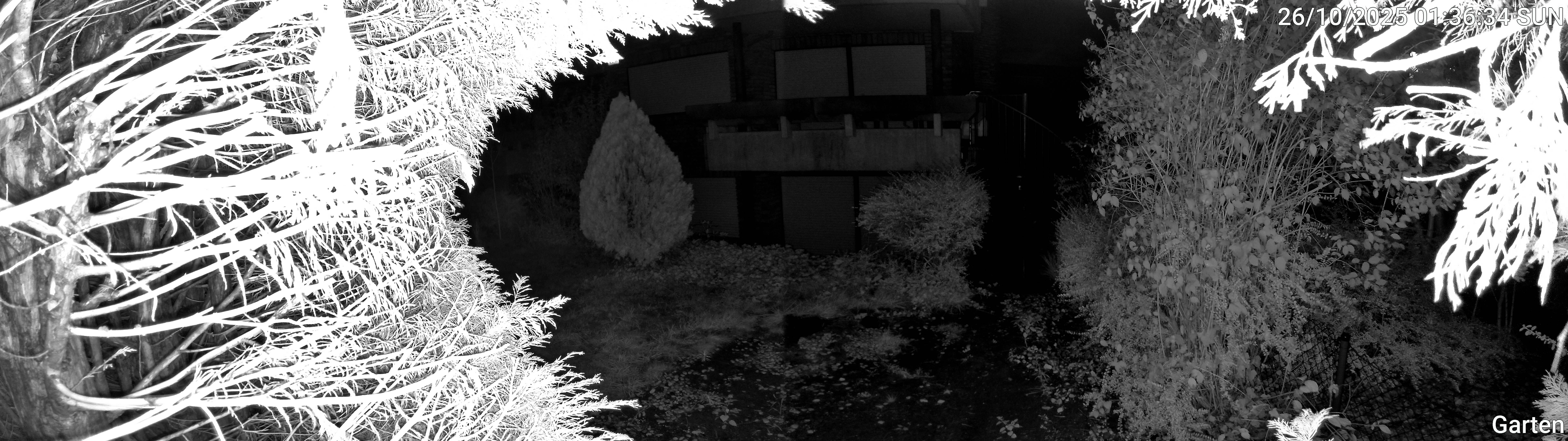 Garten_00_20251026013634.jpg