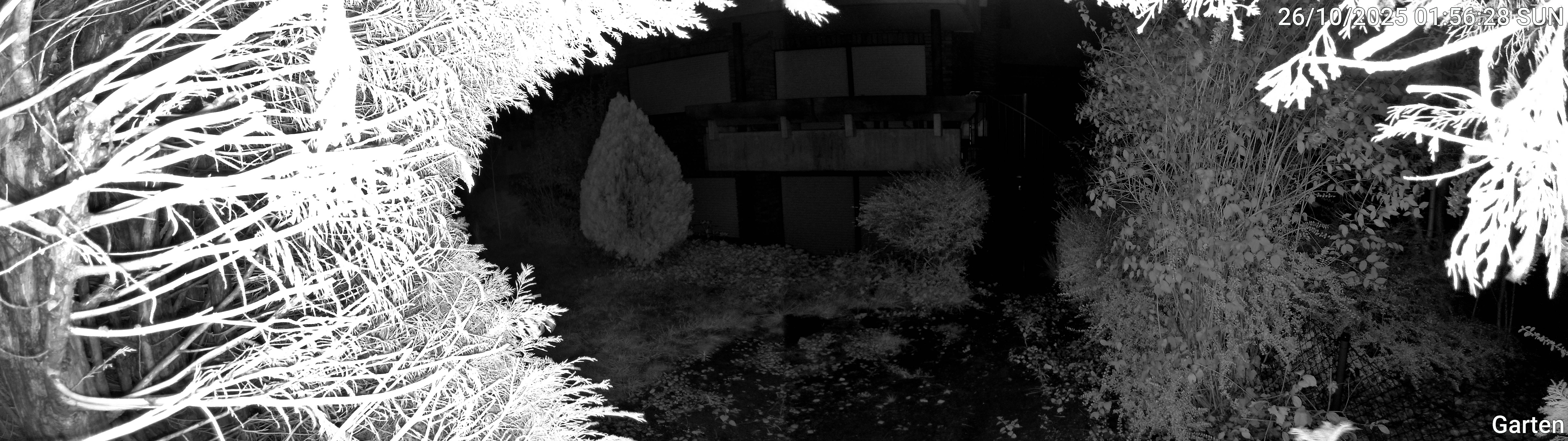 Garten_00_20251026015628.jpg