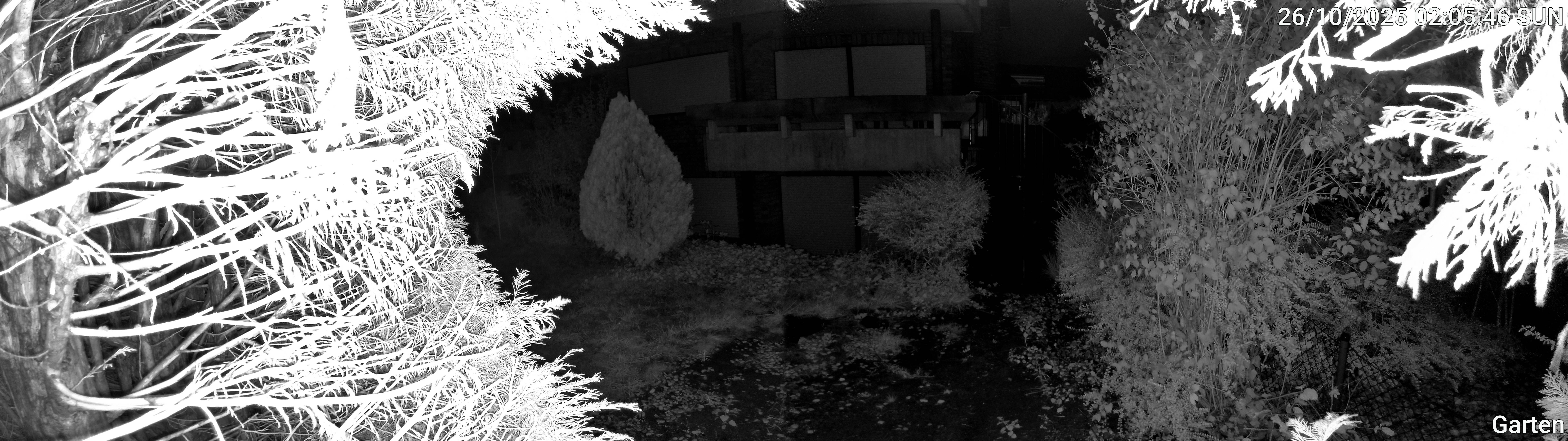 Garten_00_20251026020546.jpg