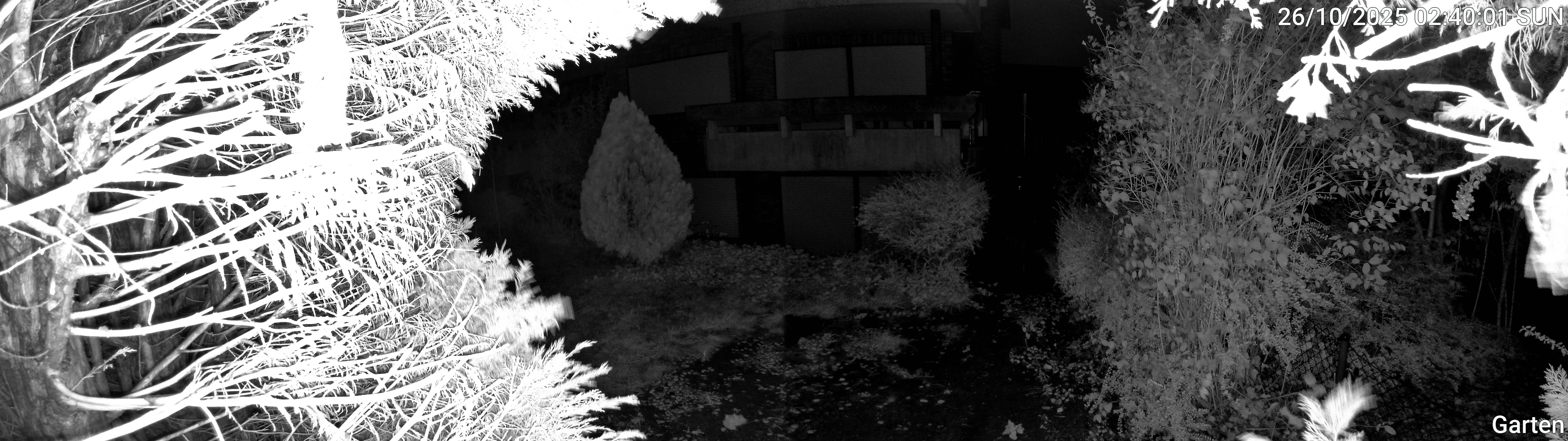 Garten_00_20251026024001.jpg