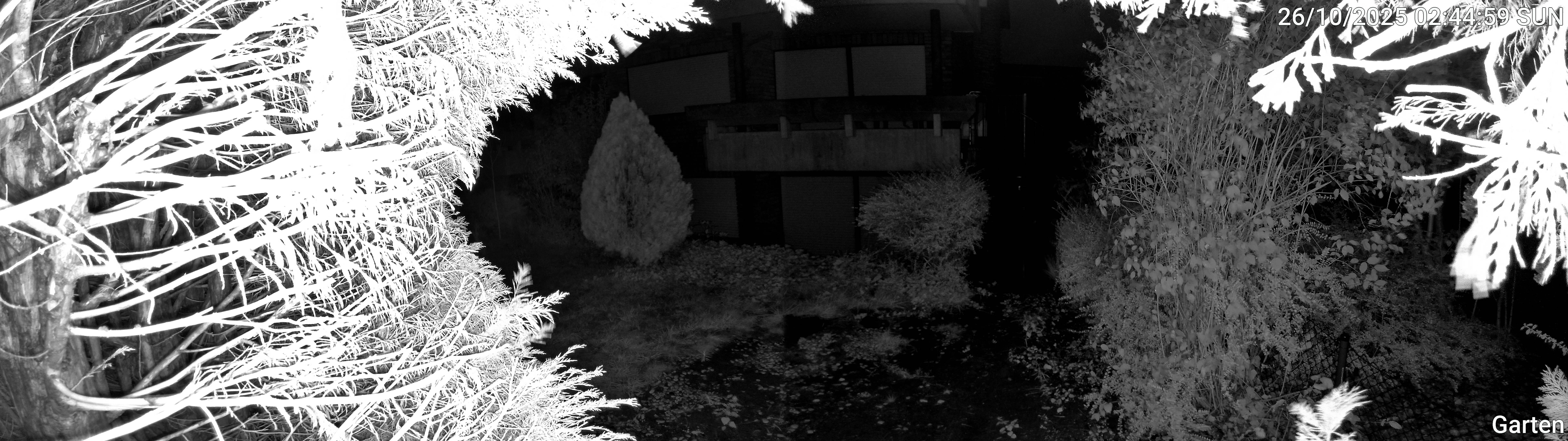 Garten_00_20251026024500.jpg