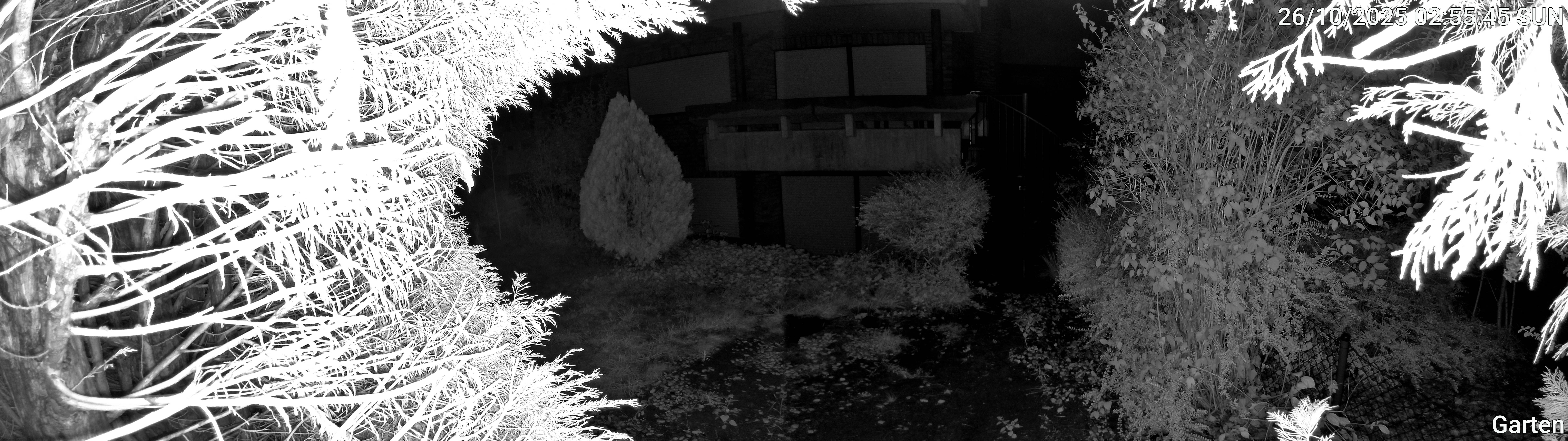 Garten_00_20251026025545.jpg