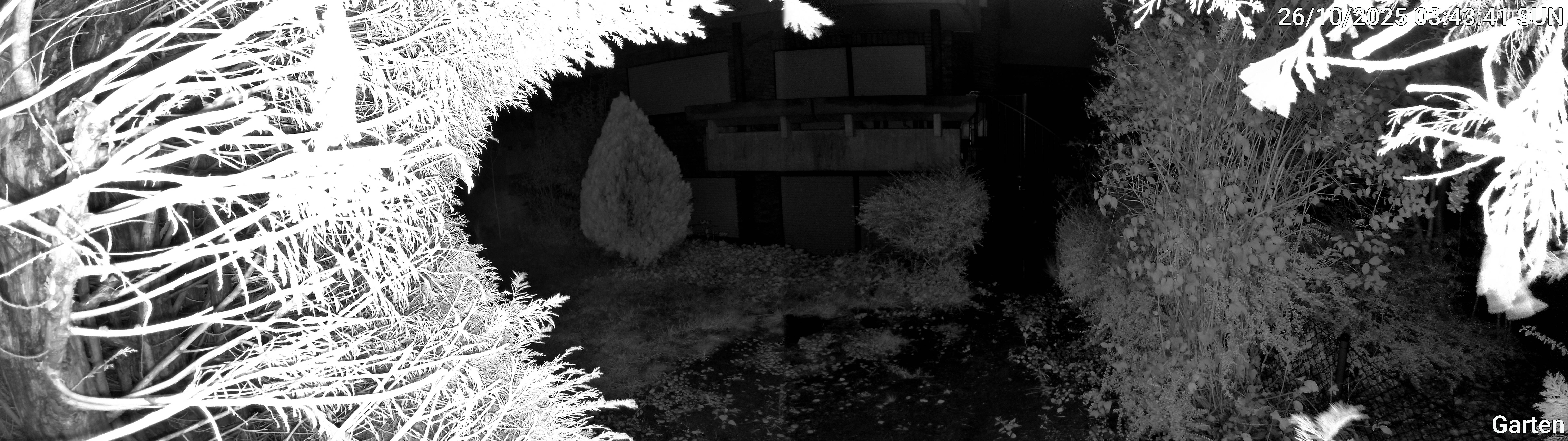 Garten_00_20251026034341.jpg