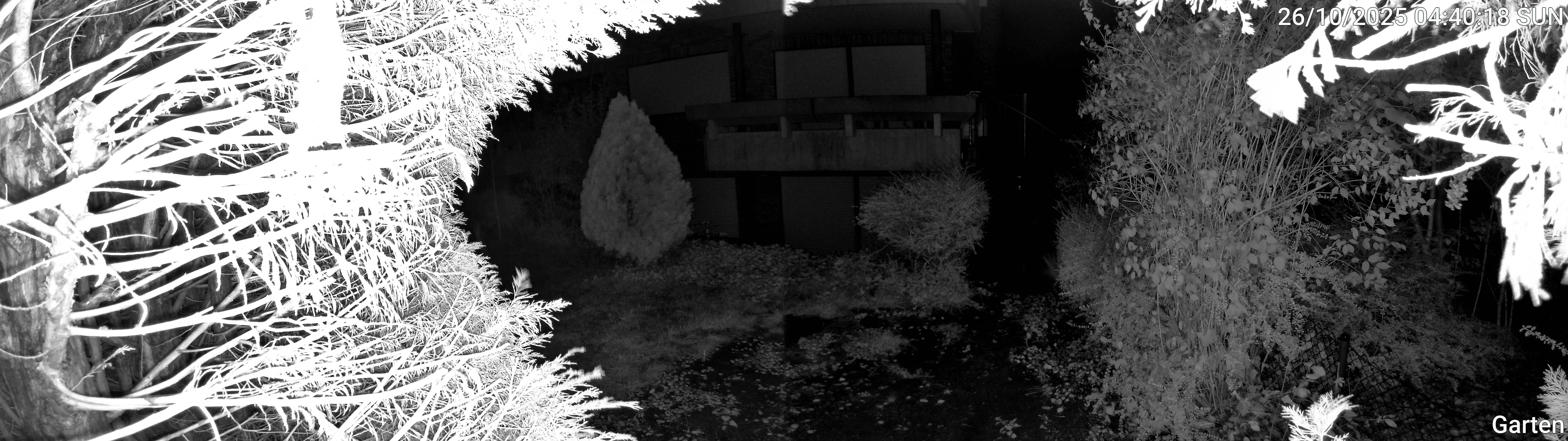 Garten_00_20251026044018.jpg