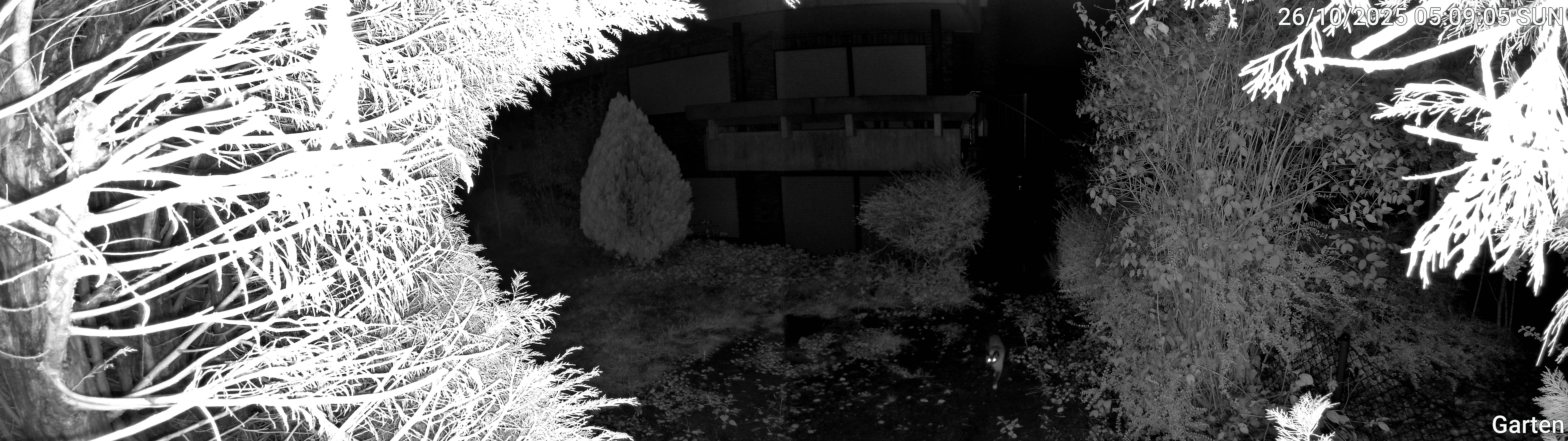 Garten_00_20251026050905.jpg