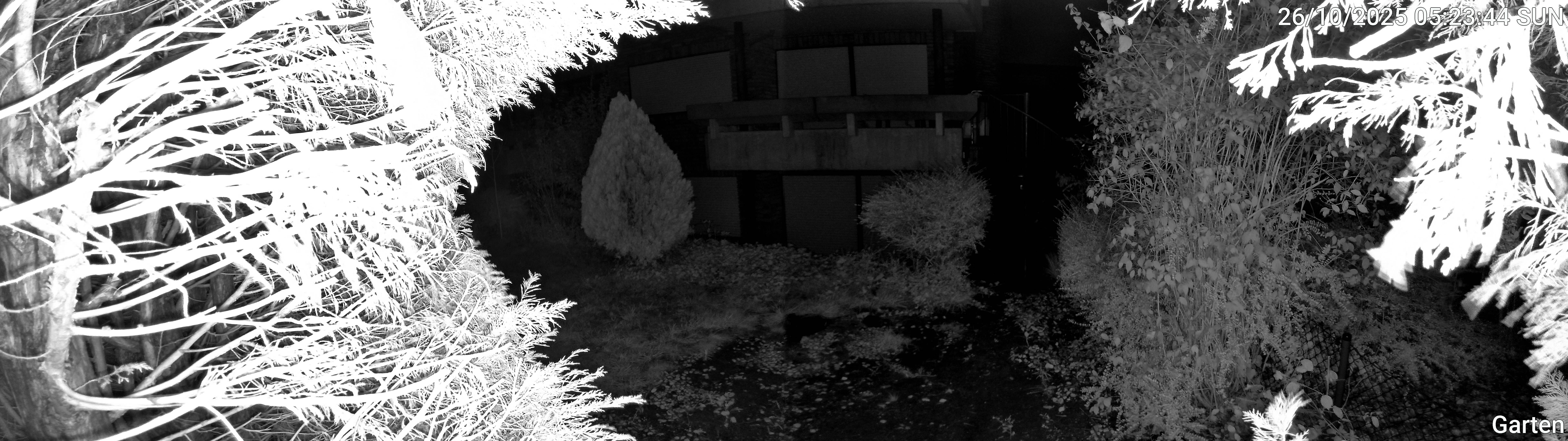 Garten_00_20251026052344.jpg