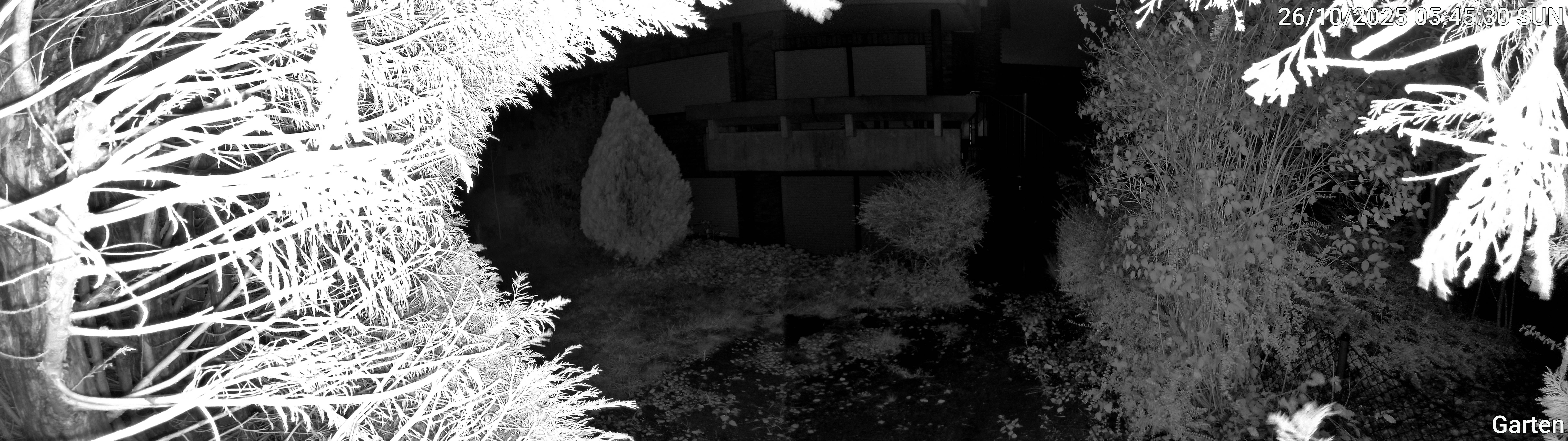 Garten_00_20251026054531.jpg