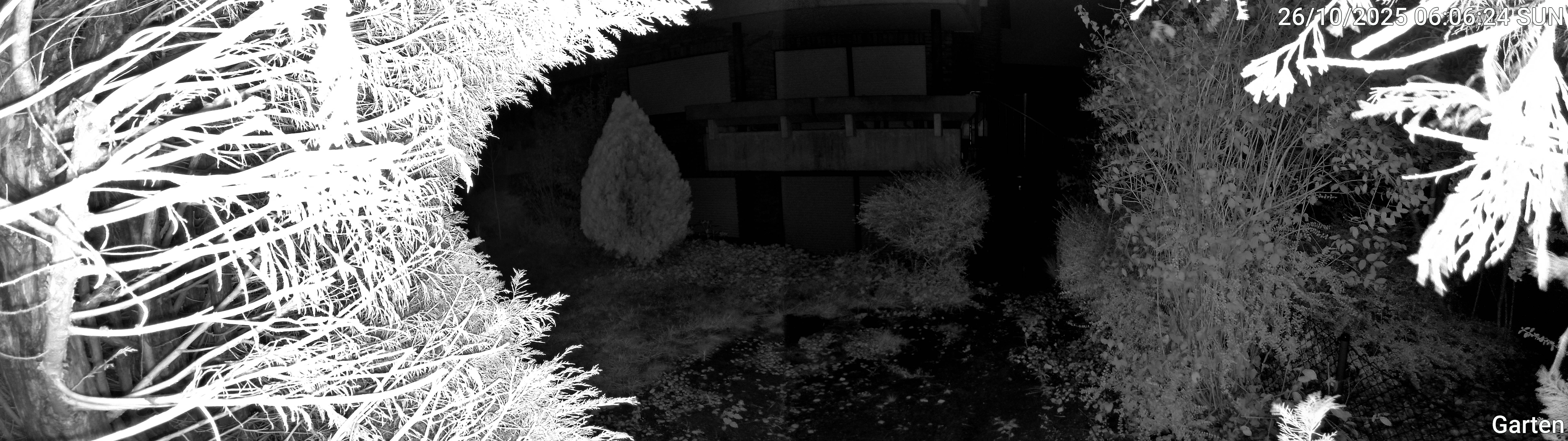 Garten_00_20251026060624.jpg