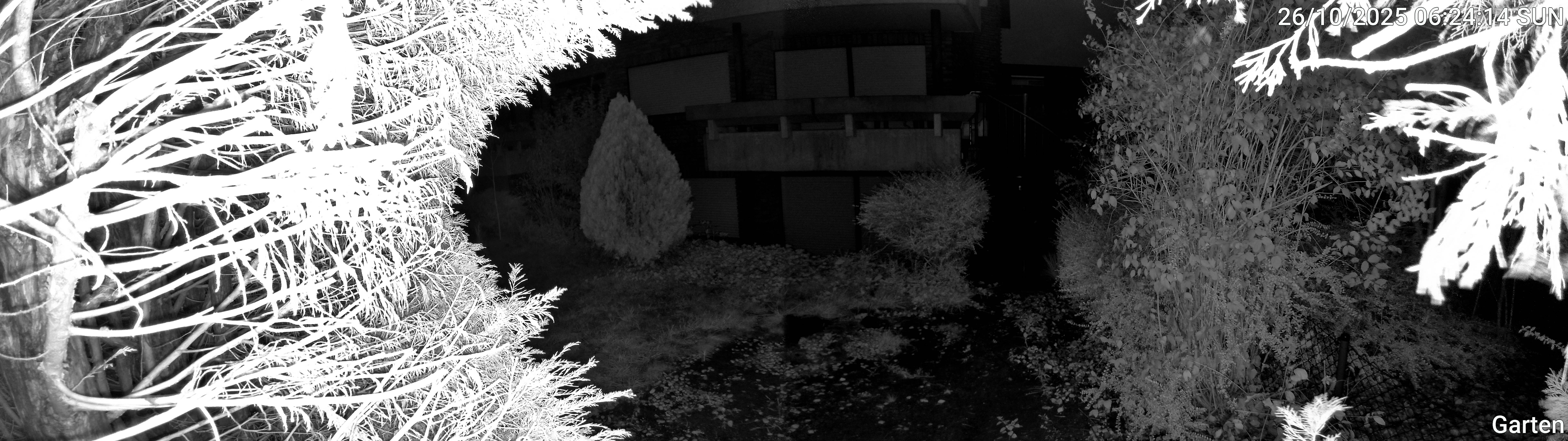 Garten_00_20251026062414.jpg