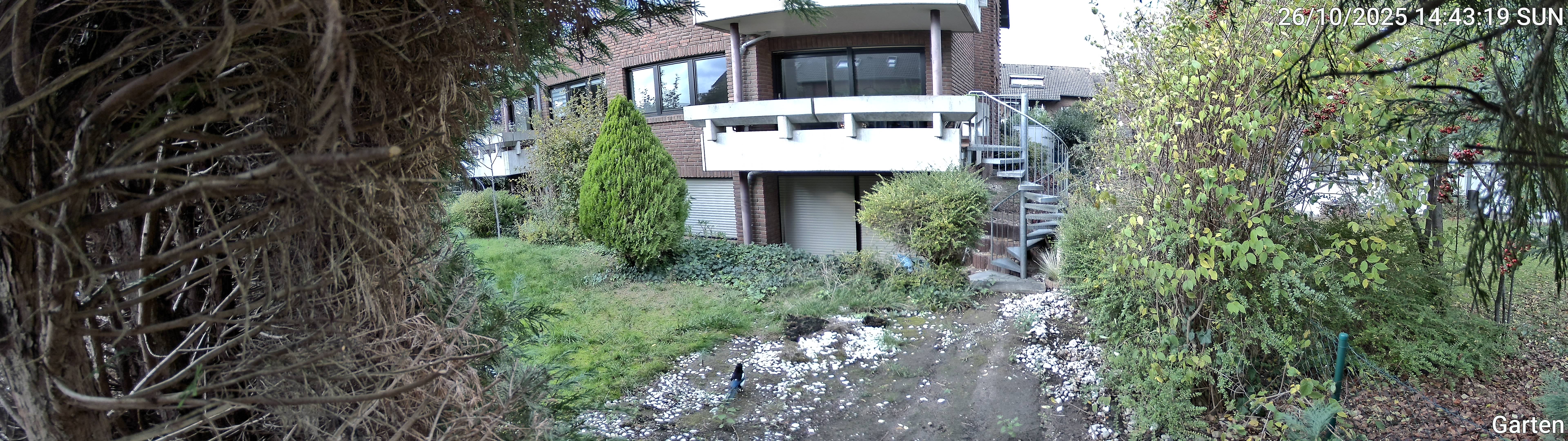 Garten_00_20251026144319.jpg