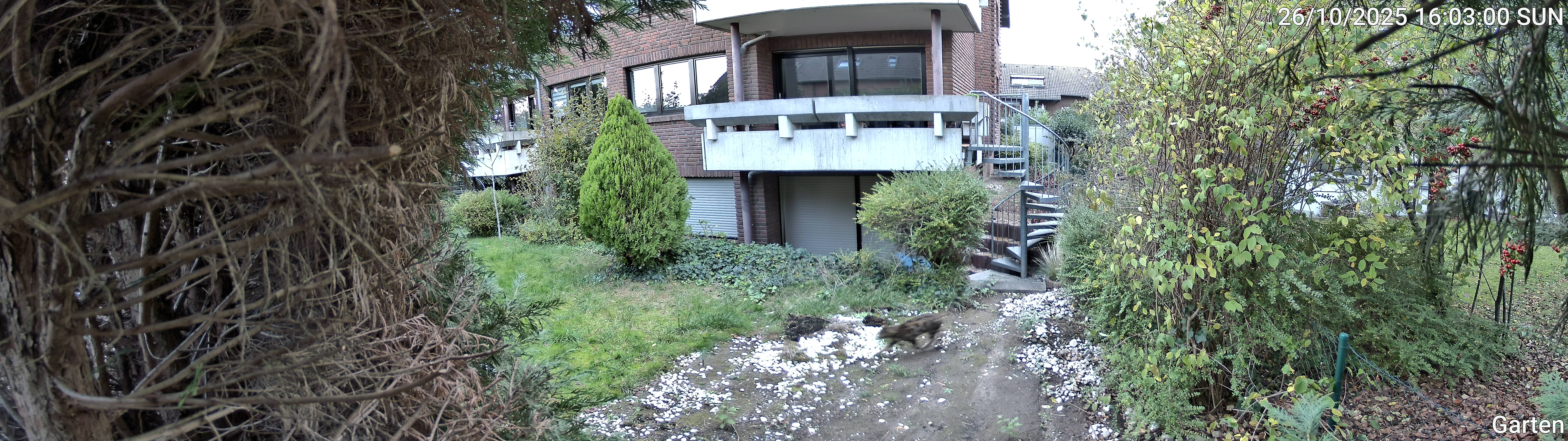 Garten_00_20251026160300.jpg