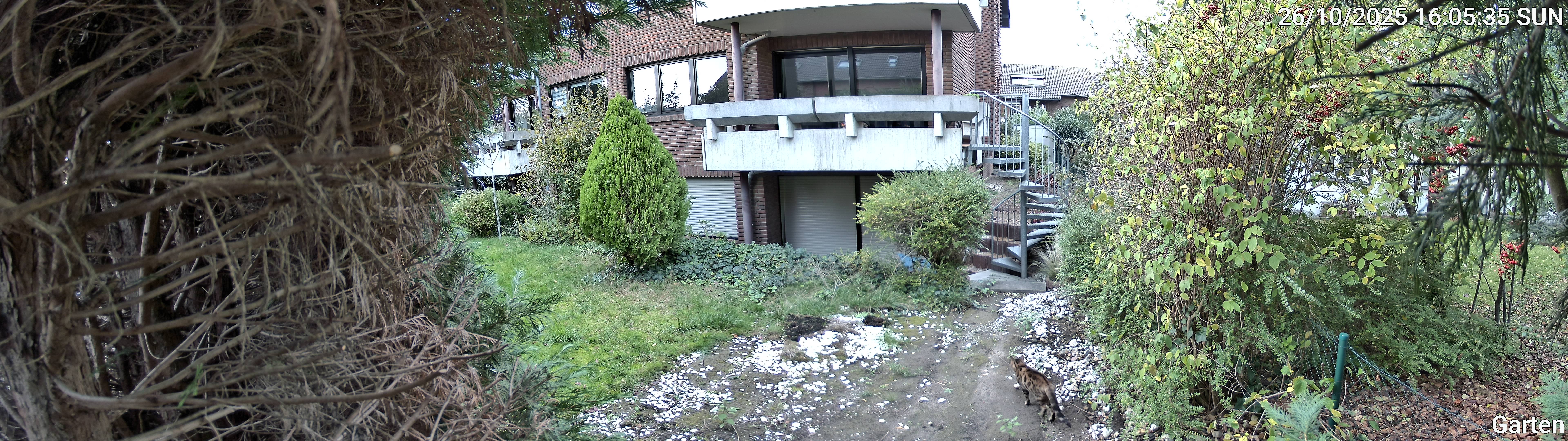Garten_00_20251026160535.jpg