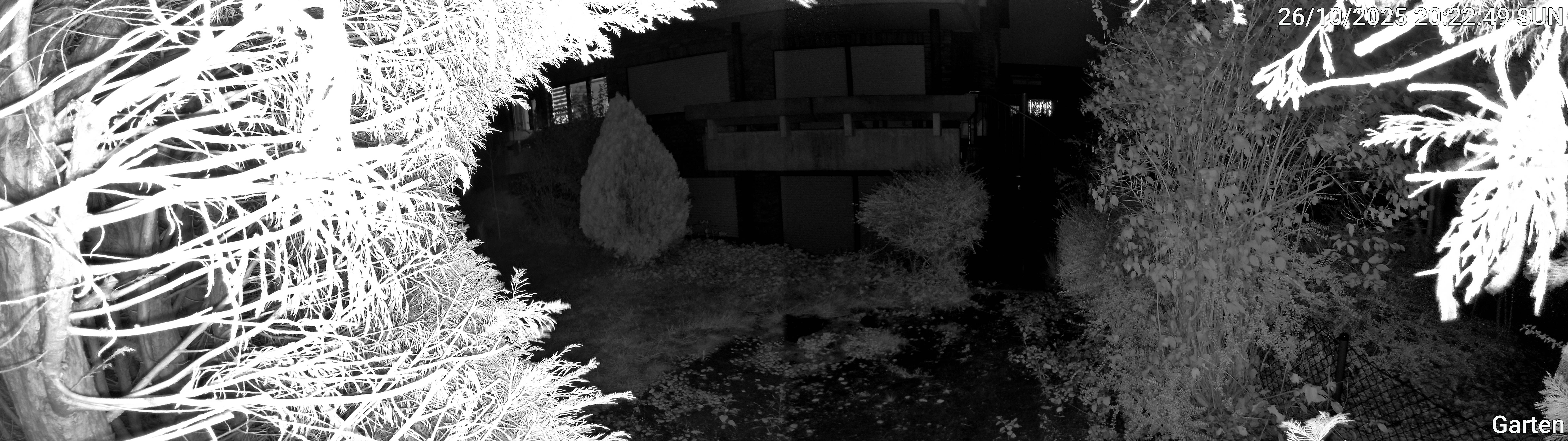 Garten_00_20251026202250.jpg