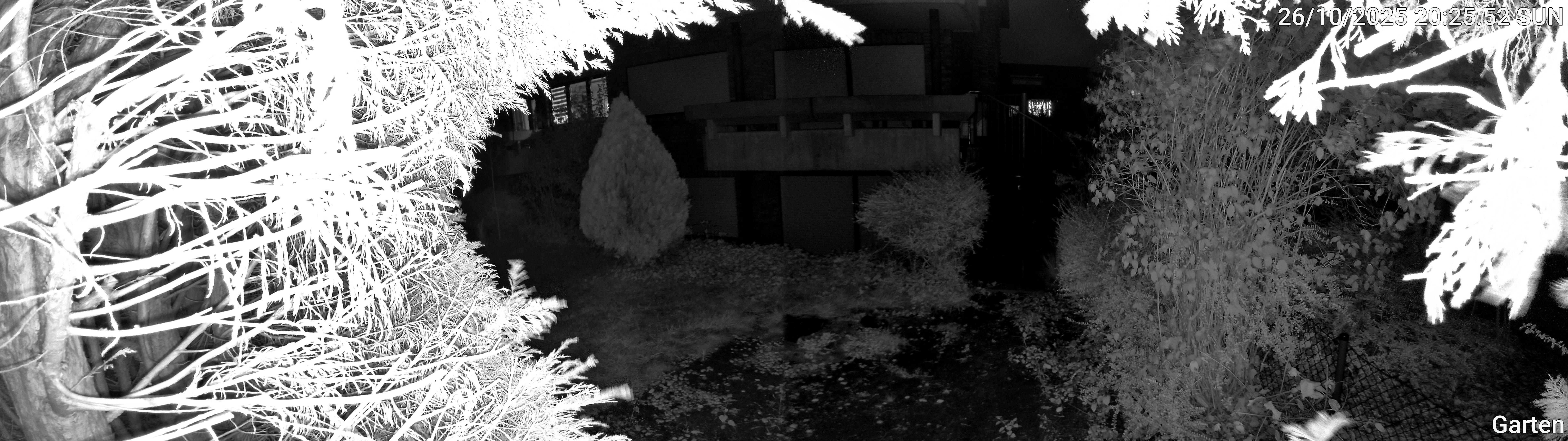 Garten_00_20251026202552.jpg