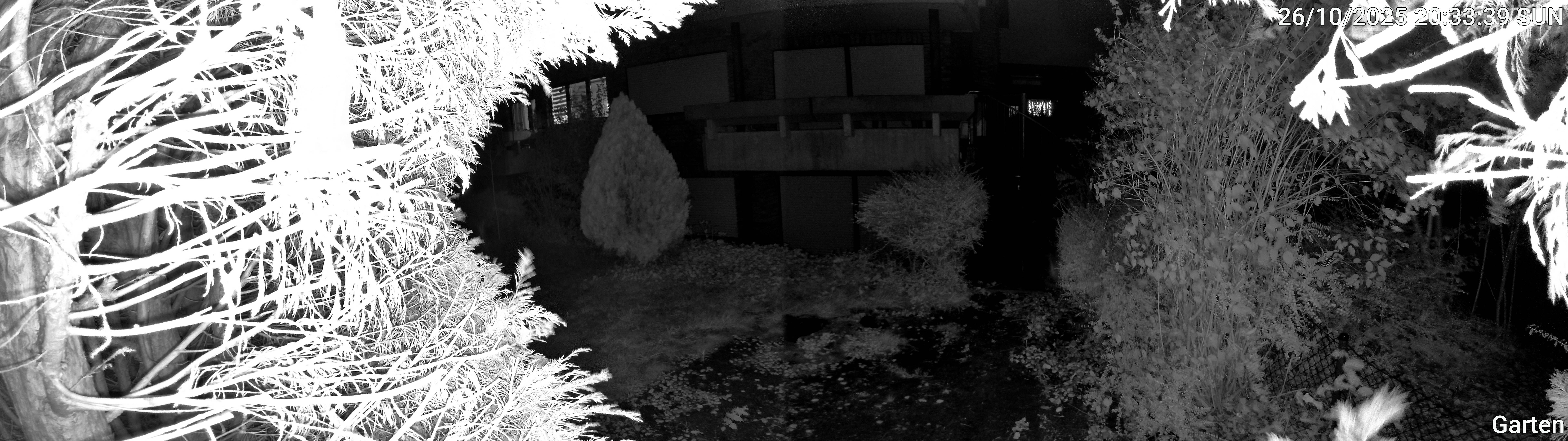 Garten_00_20251026203339.jpg