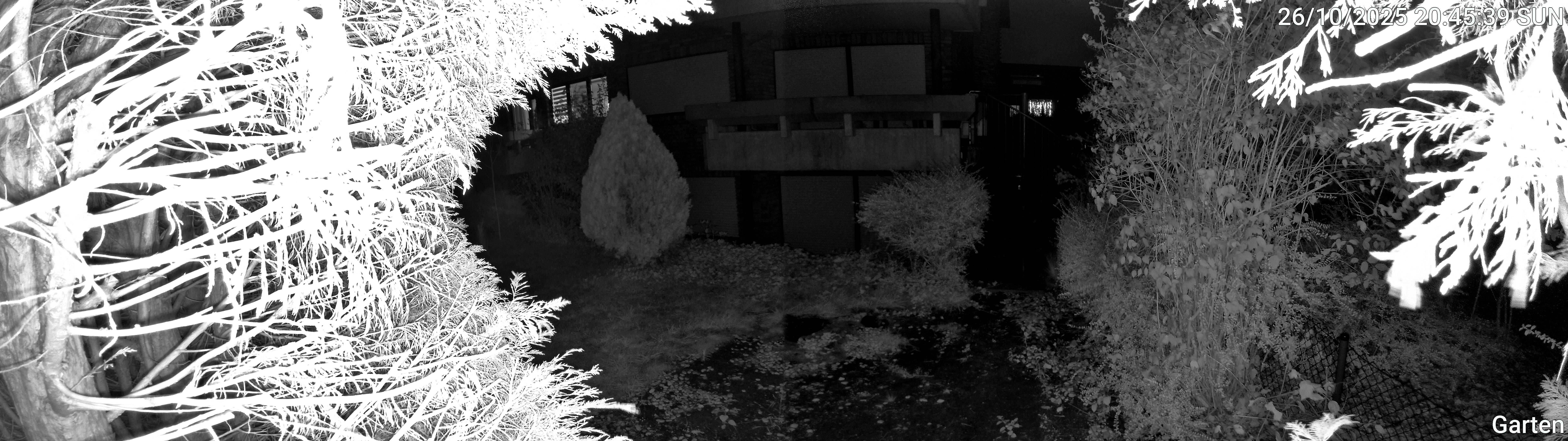 Garten_00_20251026204539.jpg