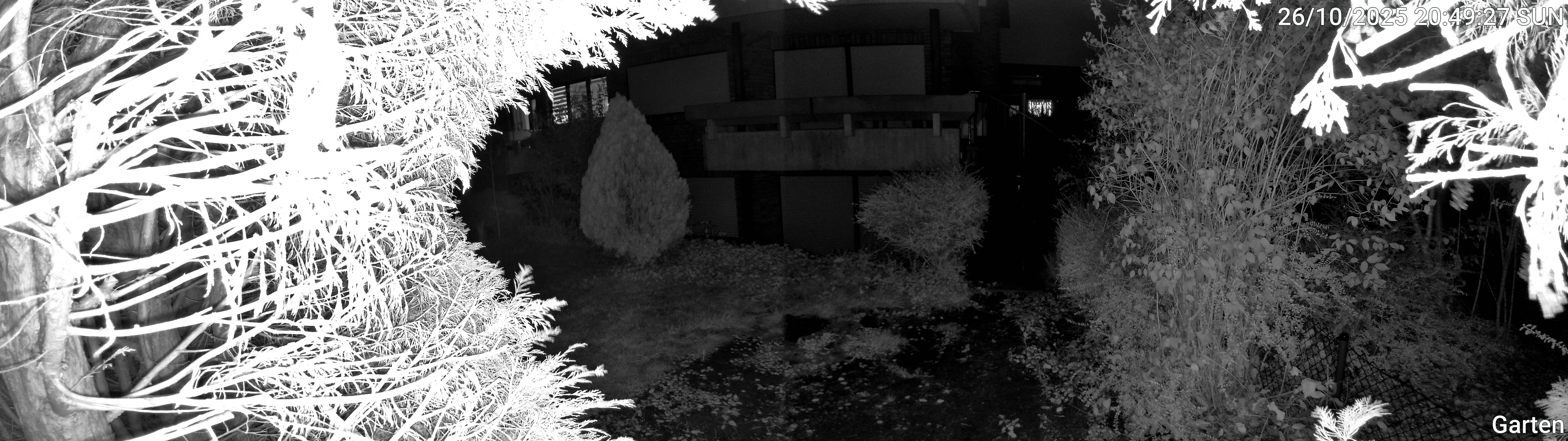 Garten_00_20251026204927.jpg