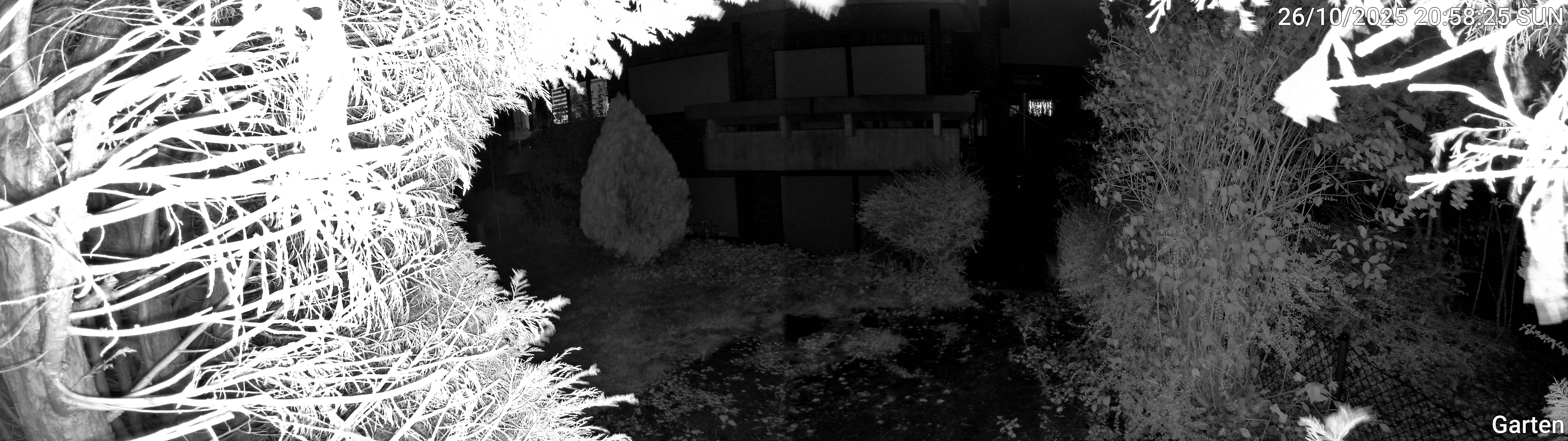 Garten_00_20251026205825.jpg