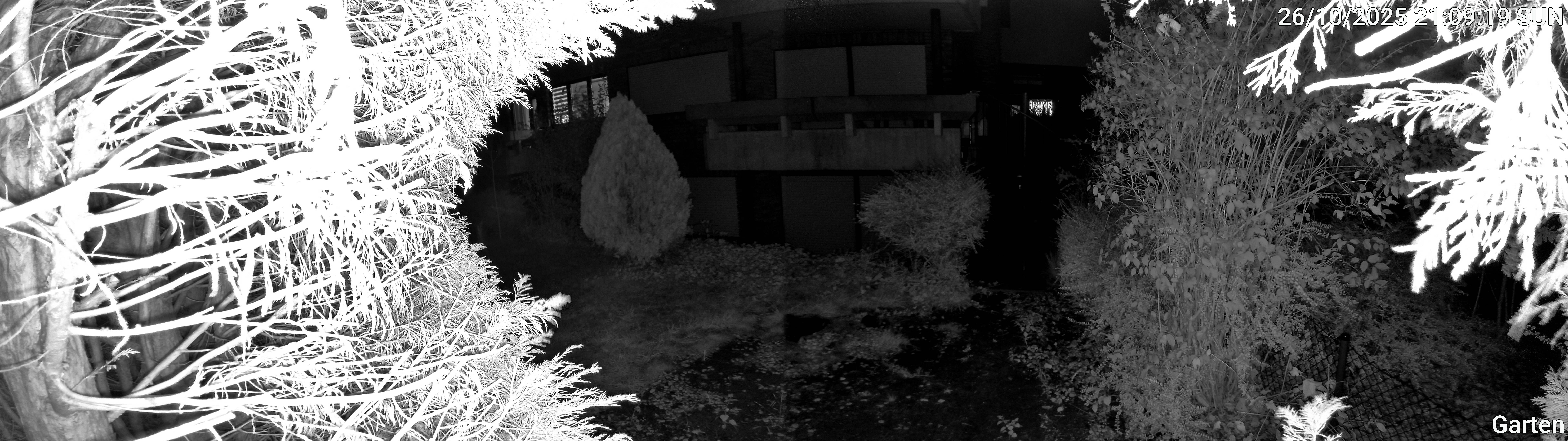 Garten_00_20251026210919.jpg