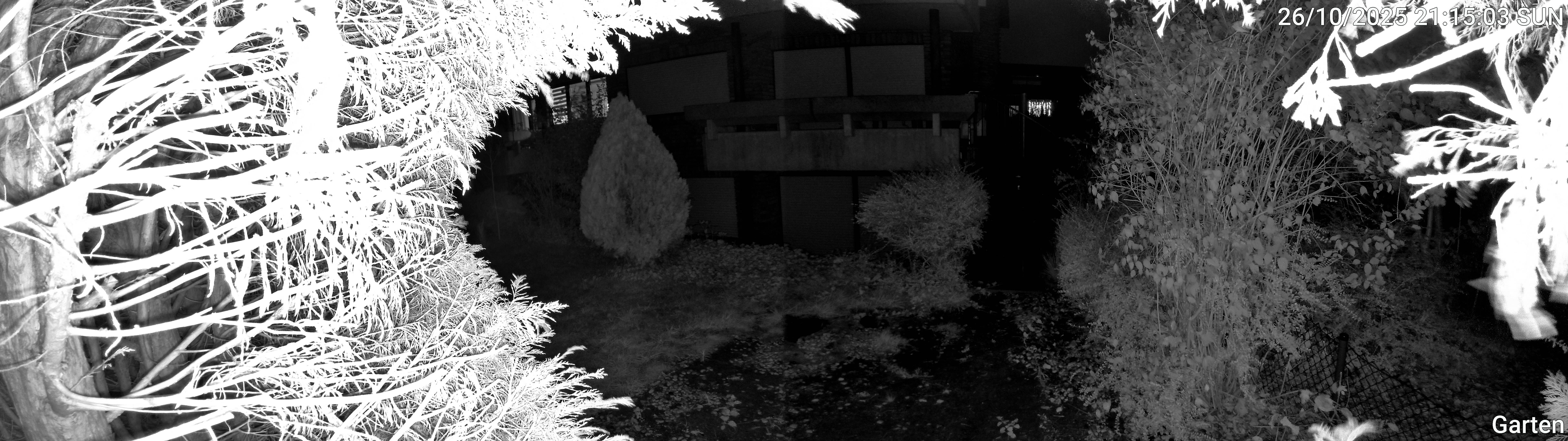 Garten_00_20251026211503.jpg