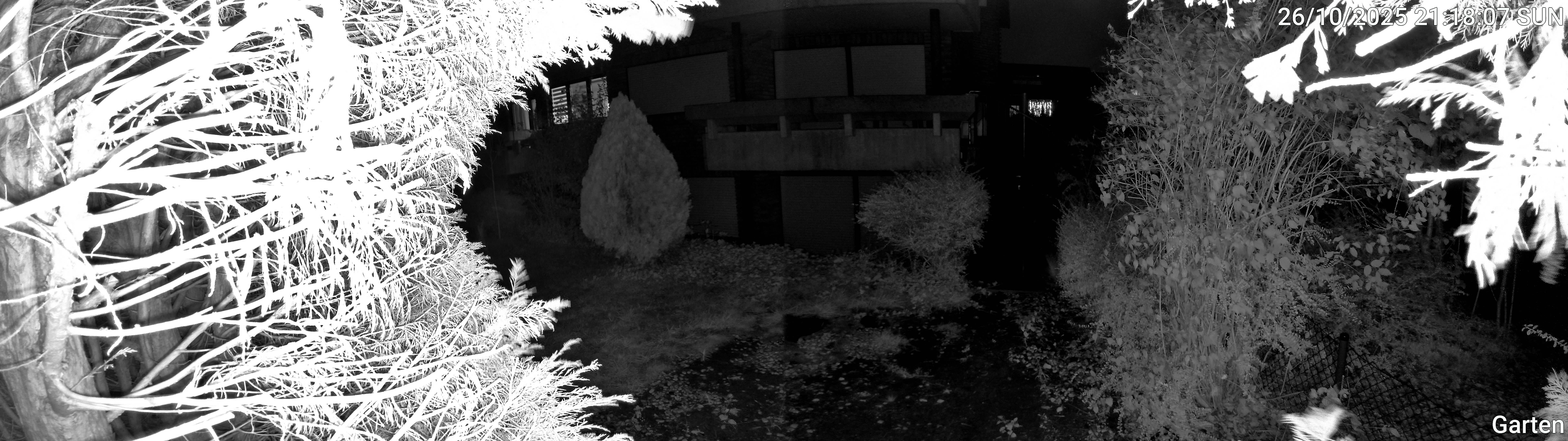 Garten_00_20251026211807.jpg