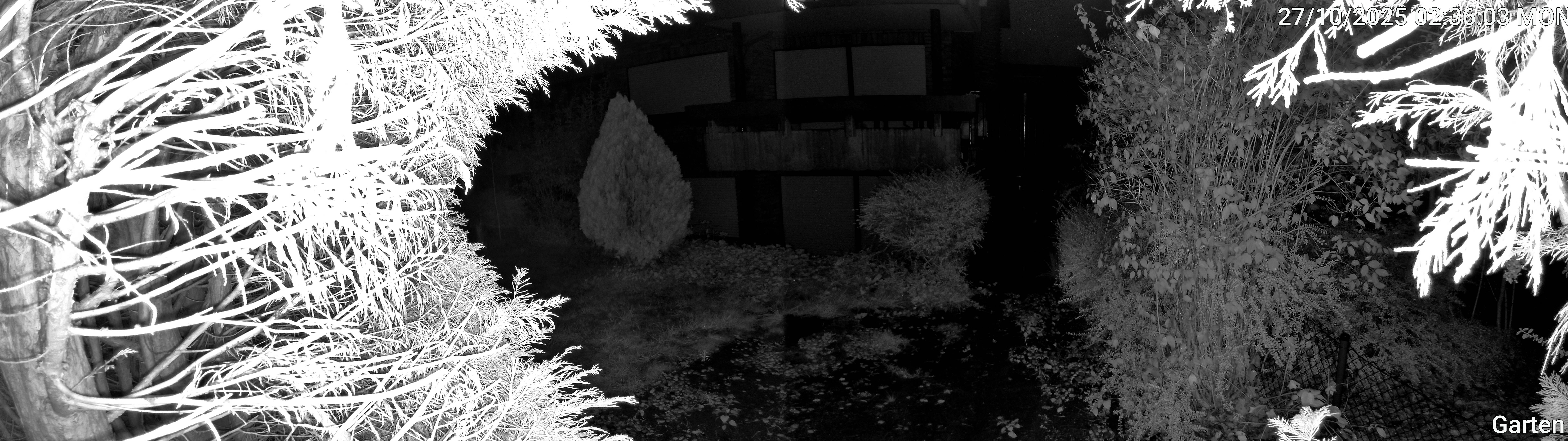 Garten_00_20251027023603.jpg