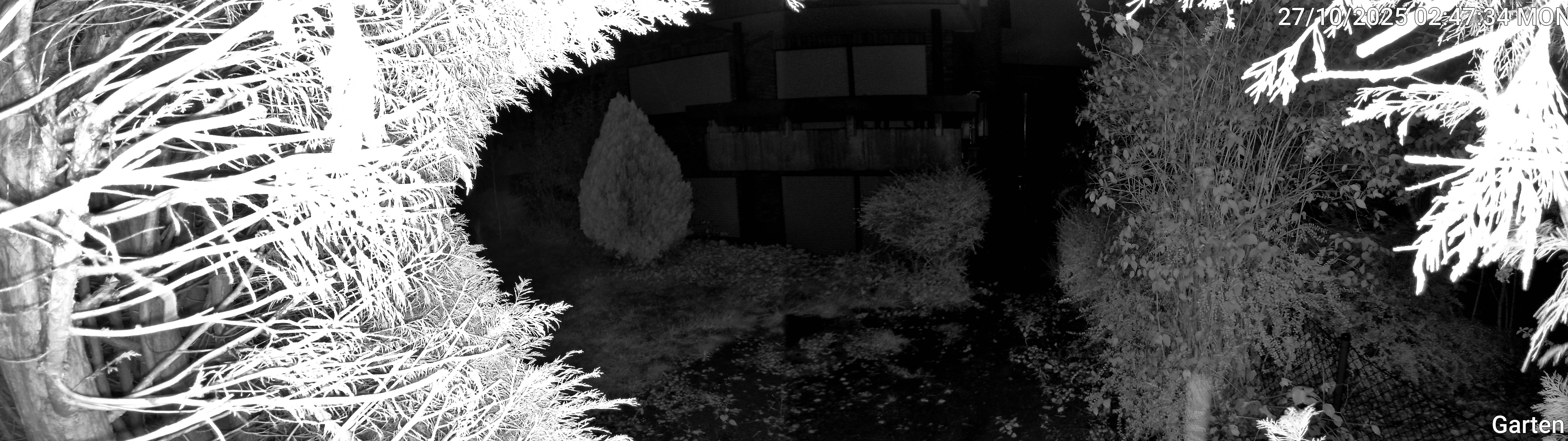 Garten_00_20251027024734.jpg