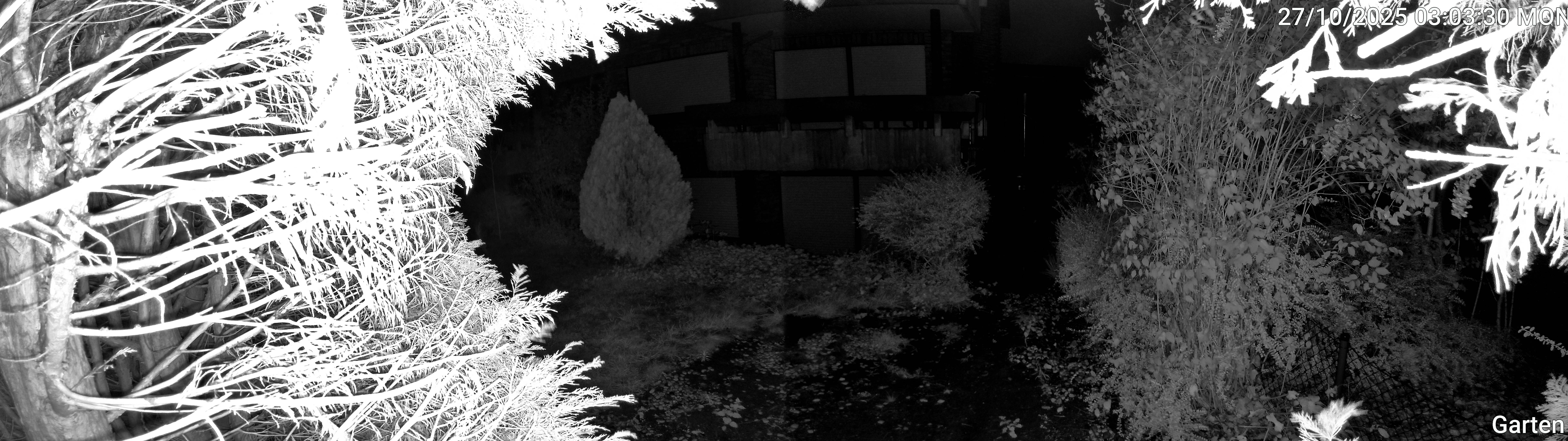 Garten_00_20251027030330.jpg
