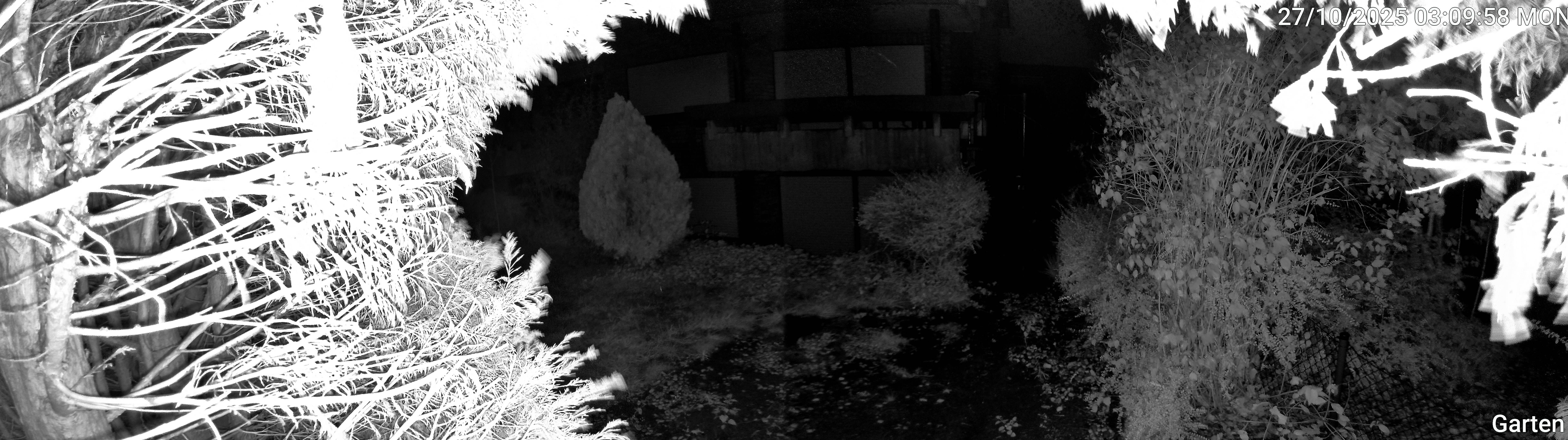 Garten_00_20251027030958.jpg