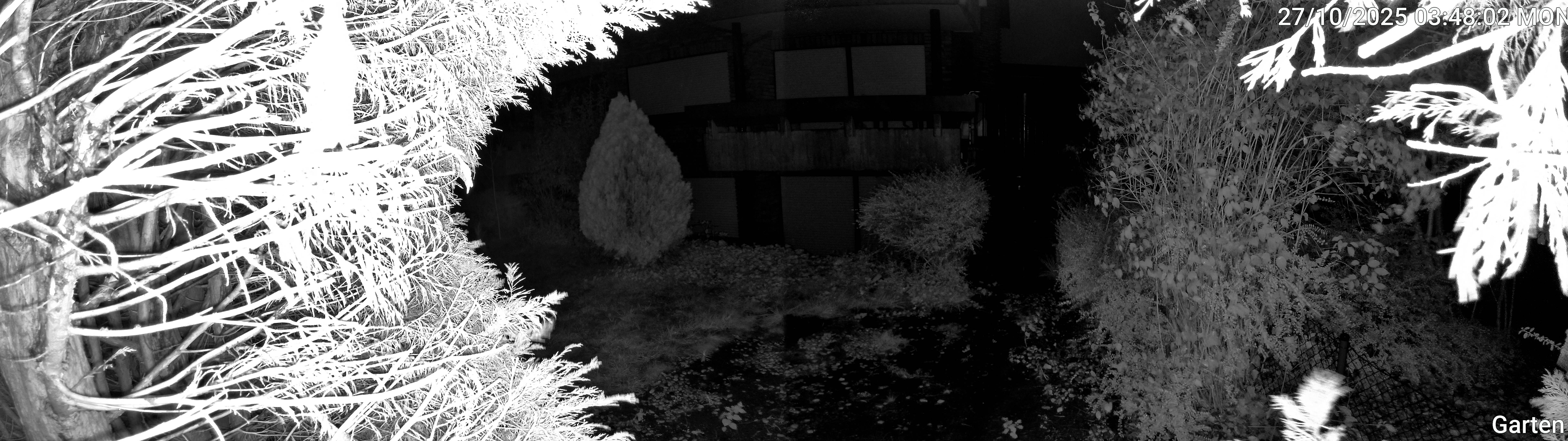 Garten_00_20251027034802.jpg