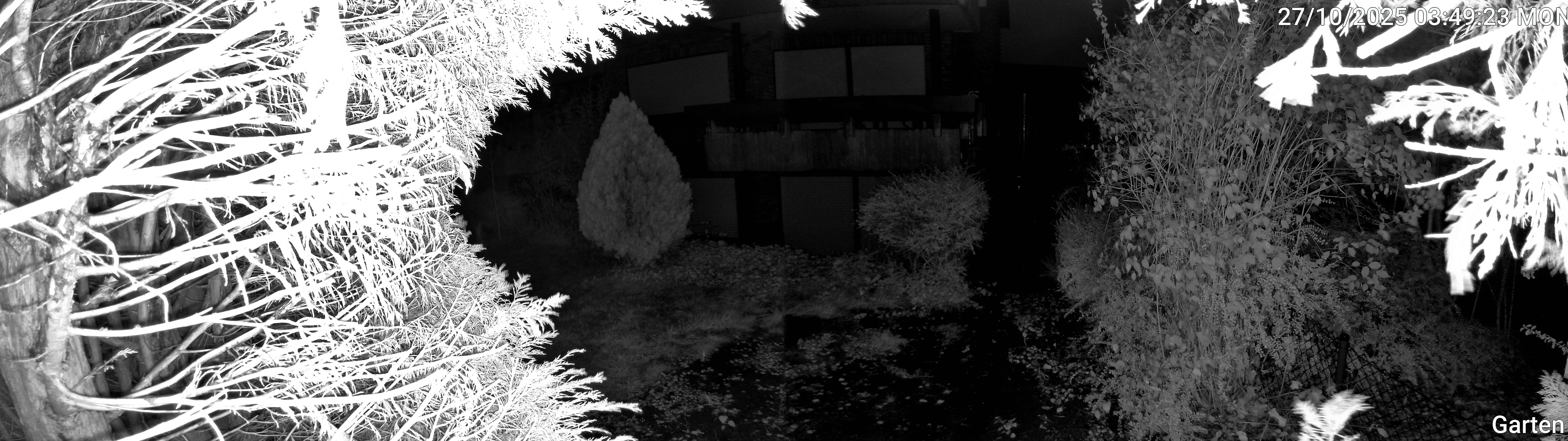 Garten_00_20251027034923.jpg