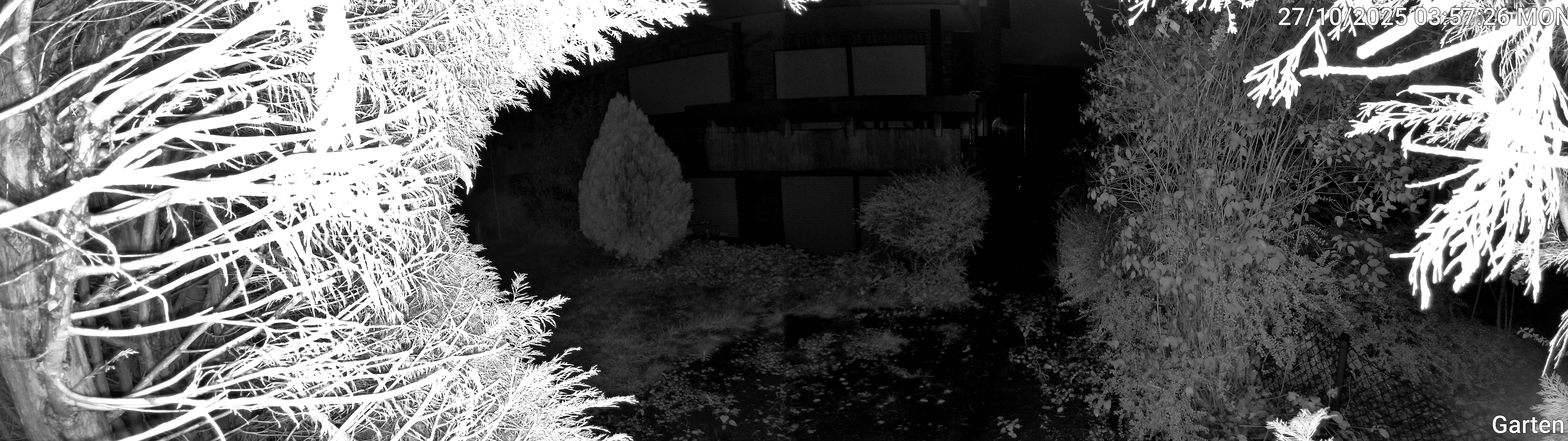 Garten_00_20251027035726.jpg
