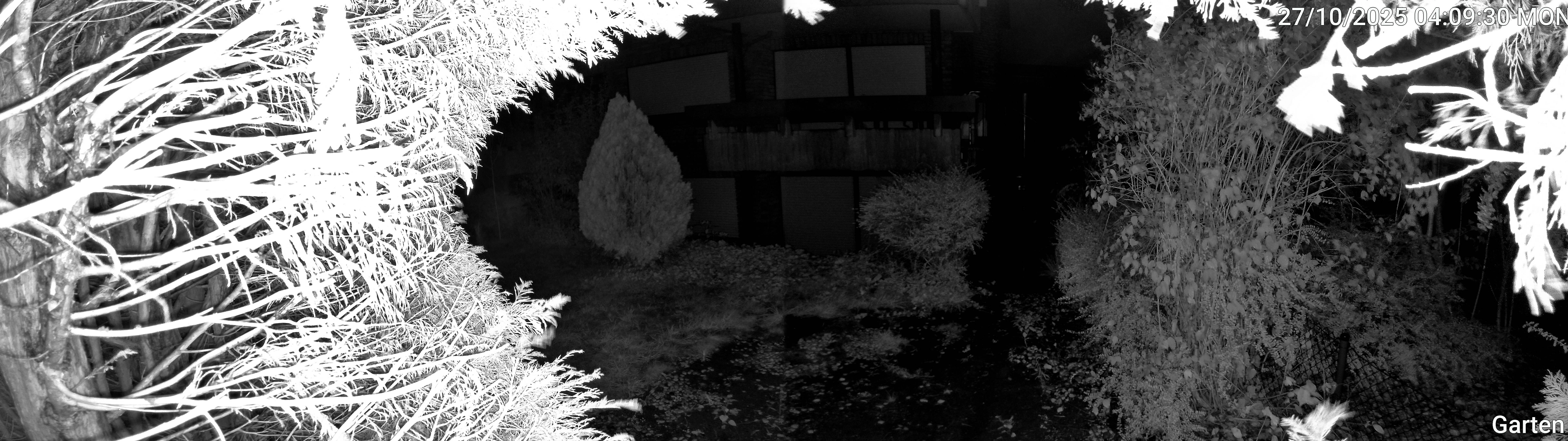 Garten_00_20251027040930.jpg
