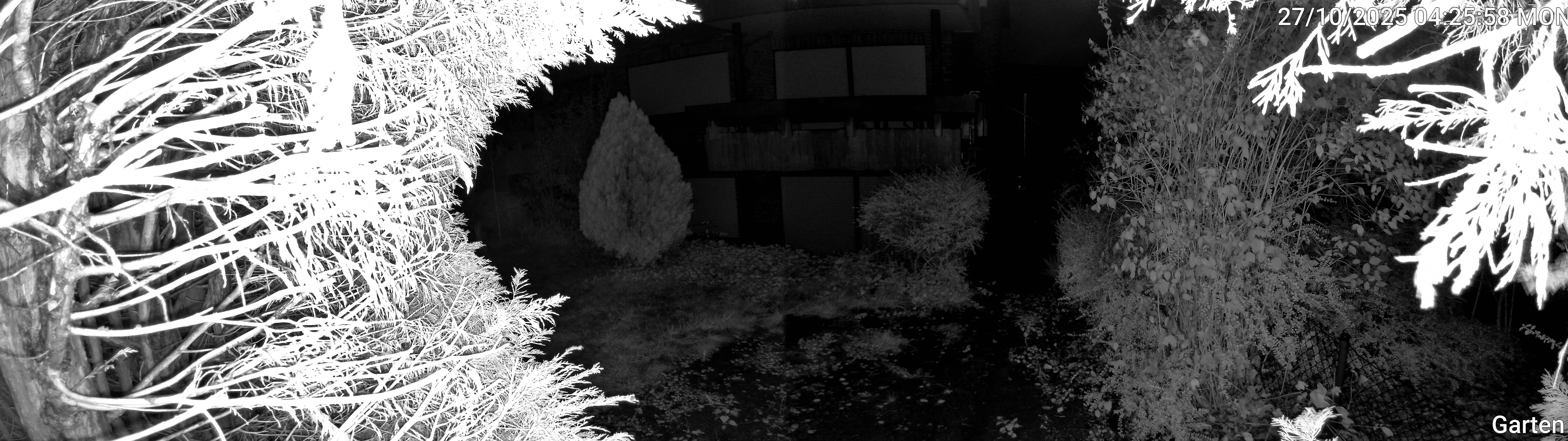 Garten_00_20251027042558.jpg